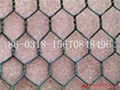 gabion mesh 