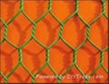 Hexagonal Wire Netting