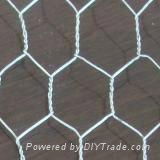 Hexagonal Wire Netting 3