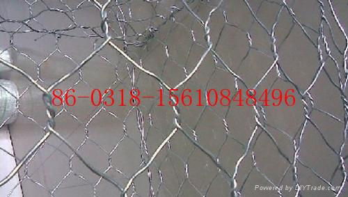 gabion mesh  5