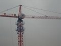 tower crane QTZ40 2
