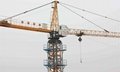  QTZ31.5 tower crane 2