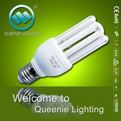Energy Saving Bulb Light (QL4U12-45)