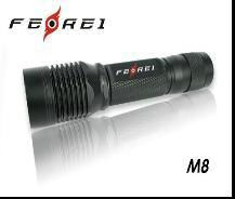 Rechargeable torch