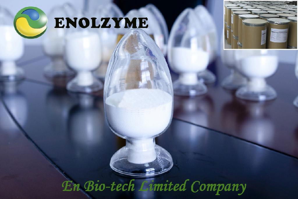 Powder Phytase 100,000U/g 3