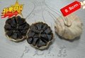 black garlic exporter sell black garlic -- box package 2