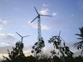 wind turbine