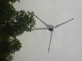 GLB-50KW wind turbine 2