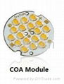 COA Module