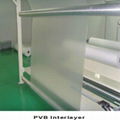 PVB film 3