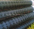 plastic geogrid 2