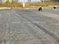 plastic geogrid 4