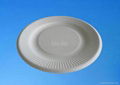 Bagasse Plate