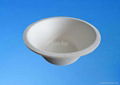 Bagasse bowl 1