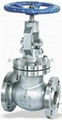 globe valve