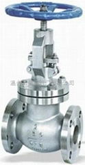 globe valve