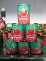 28-30% canned tomato paste/tomato ketchup export to Africa