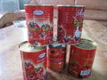 28-30% canned tomato paste/tomato ketchup export to Africa 2