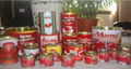 70g-3000g canned  tomato paste with normal lid and easy open 1