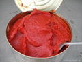 70g-3000g canned  tomato paste with normal lid and easy open 5