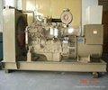 60HZ water-cooleddiesel generator 2