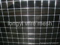 welded mesh 2