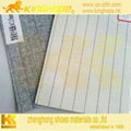 stripe insole board 4