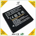 Replacement Camera Battery Pack BCF10