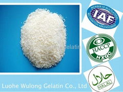 skin gelatin