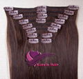 Clip in hair extension 2