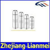 vacuum flask