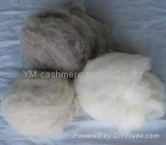 pure goat cashmere fiber