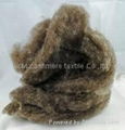 pure goat cashmere fiber 2