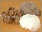 Inner Mogolia cashmere fiber