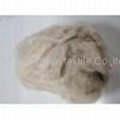 Inner Mogolia cashmere fiber 3
