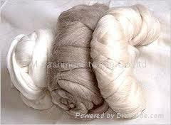 goat cashmere fiber