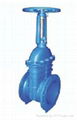 Resilient Seated Rising Stem Gate Valve