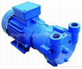 Vacuum Pump 1