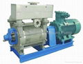 Liquid Ring Vacuum Pump 2