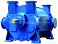 Liquid Ring Vacuum Pump 3