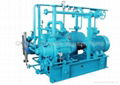 liquid ring compressors 1