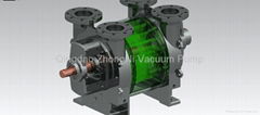 2BE liquid ring vacuum pump