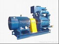 2BE liquid ring vacuum pump 2