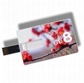 Credit Card style Full Color imprinting usb drives 1