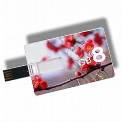 Credit Card style Full Color imprinting usb drives