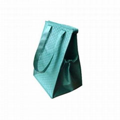 nonwoven cooler bag