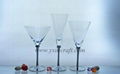 Martini glass,wine glassware 1