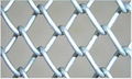 Chain Link Fence 1