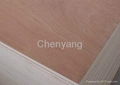 Plywood for Decoration for Furniture for