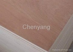 Plywood for Decoration for Furniture for Construction